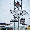 Отель Motel Safari, фото 14