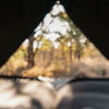 Отель Simbavati Trails Camp, фото 6