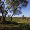 Отель Neptune Ngorongoro Luxury Lodge, фото 2