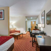 Отель Comfort Suites Salem-Roanoke I-81, фото 34