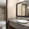 Отель Best Western PLUS Dallas Hotel & Conference Center, фото 10