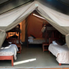 Отель Wildebeest Eco Camp, фото 2