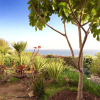Отель Villa jardin de l'ocean, фото 19