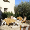 Отель Bouganville Guest House, фото 7