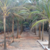 Отель GK Beach Resort, фото 15