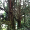 Отель B・B・C Nagayu, фото 9