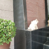 Отель 14 Place Sukhumvit Suites - SHA Plus, фото 18