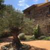Отель Chambres d'Hôtes Le Pontillaou, фото 26