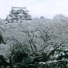 Отель Futabaso, фото 11