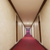 Отель Jinma Hotel, фото 19