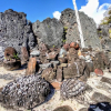 Отель RAIATEA - Bungalow Nautilus Pool, фото 13
