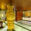 Отель Marigold Sarovar Portico Shimla, фото 2