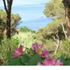 Отель Three Roomapt For 4 Pax, 150 Mt To The Sea-Silvia A, фото 7