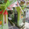 Отель Green View Ubud Hostel Bali, фото 48
