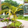 Отель PLS Apartments - Cantonments, фото 45
