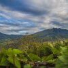 Отель El Castillo Chinauta, фото 33