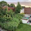 Отель Impeccable Bungalow in Fair Oak, Hampshire, фото 7