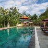 Отель Yoga Amertham Retreat & Resort, фото 13