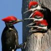 Отель Jardin de los pajaros, фото 32