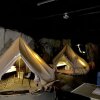 Отель Basecamp NORD - Indoor Camping, фото 3