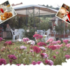 Отель B&B Pergolato di Sotto, фото 9