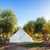 Отель Guadalupe Valle Glamping, фото 15