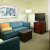 Отель SpringHill Suites Houston Medical Center/NRG Park, фото 3