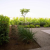 Отель Phaedrus Living: Serenity Waves Villas No.11, фото 17