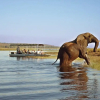 Отель Tongabezi Lodge, фото 20