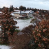 Отель Aloha Bed and Breakfast, фото 12
