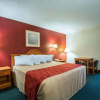 Отель Econo Lodge Alachua, фото 14