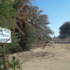 Отель Nour El Gourna, фото 2