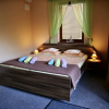 Отель Apartmany u Slavky, фото 12