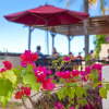 Отель Le Beach Club Studios and Apartments, фото 15