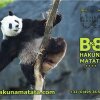 Отель B&B Hakuna Matata, фото 18