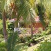Отель Bora Bora Holiday's Lodge and Villa, фото 9