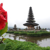 Отель Timbis Homestay Bali, фото 22