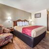 Отель Econo Lodge Inn & Suites Macon, фото 35