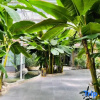 Отель Kuitun Hotel, фото 1