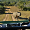 Отель Sibuya Game Reserve, фото 11
