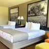 Отель Hill Country Inn & Suites - New Braunfels / Gruene, фото 3
