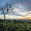 Отель Shamwari Sarili, фото 21