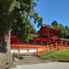 Отель Toyoko Inn Kintetsu Nara Ekimae, фото 19