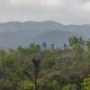 Отель Jade Hills Coorg, фото 5