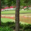 Отель Embassy Suites Greenville Golf Resort & Conference Center, фото 24