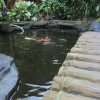Отель Duta Guest House, фото 17