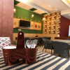 Отель OYO Rooms Sector 11 Panchkula, фото 18