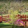 Отель Fazenda & Resort Cachoeiras de Cavaru, фото 13