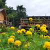Отель Baan AingDoi Homestay, фото 11