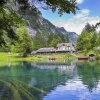 Отель Blausee, фото 30